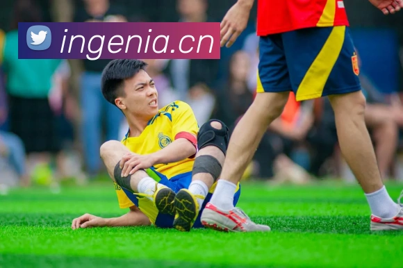 App Interface Preview